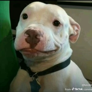 Fundraising Page: Anna Ntim